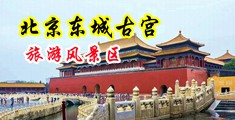 暴操荡妇观看中国北京-东城古宫旅游风景区
